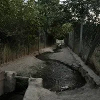 ۴۰۰متر باغ میوه