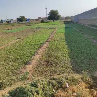 زمین-حاشیه-بلوار-مفتح-شرقی