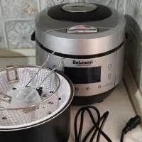 مولتی کوکر دلمونتی