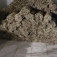 نی برای قلیان