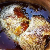 عسل کوهی استان فارس اصل برای خواص درمانی|خوردنی و آشامیدنی|شاهینشهر, مخابرات (شهید بهشتی)|دیوار