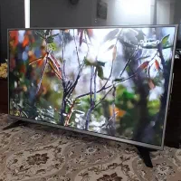 تلویزیون ۴۳ اینچ ال جی کره ای اصل اسمارت نو نو