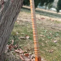 سه تار خلوت گزیدهگان کار دست استاد وحید