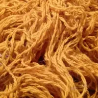 گل طبیعی دیفن باخیا و نخ قالی دستباف|گل و گیاه طبیعی|خرمآباد, |دیوار