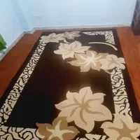 تخت نوجوان کتابخانه میز تلوزیون