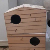 قفس و لونه|لوازم جانبی حیوانات|قم, بکایی|دیوار