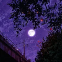 آموزش خصوصی دوره ابتدایی