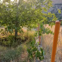 باغبانی و سرایداری