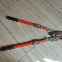 قیچی هرس درخت