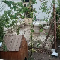 خونه باغ دشت حامد آباد|فروش خانه و ویلا|آران و بیدگل, |دیوار