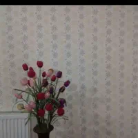 نقاشی ساختمان (قنبری )بهترین کیفیت مناسب|خدمات پیشه و مهارت|نیشابور, دارایی|دیوار