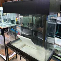 آکواریم شیشه خم سالم با وسایل کامل|ماهی|تهران, حبیب الله|دیوار