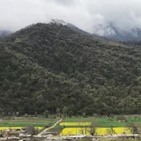 اجاره خانه ویلایی در بست