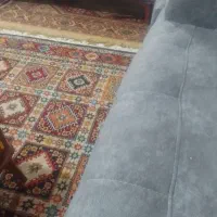 همخانه