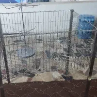 ویترین و سبد حراجی