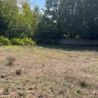 فرصت طلایی سرمایهگذاری در منطقهای خوشآبوهوا|فروش زمین و ملک کلنگی|کجور, |دیوار