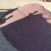 لوبیا قرمز تمیز