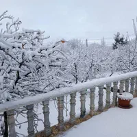 اجاره باغ سوئیت استخر دار در سربست سپیدان|اجارهٔ کوتاه‌مدت ویلا و باغ|شیراز, شهرک گلستان|دیوار