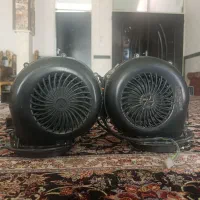 فن حلزونی