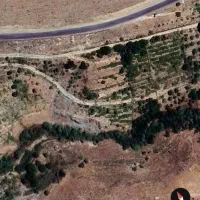 فروش-باغ-انگور-دریژان