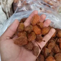آلو بخارا
