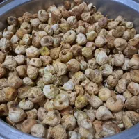 انجیر خشک|خوردنی و آشامیدنی|تهران, شمیراننو|دیوار