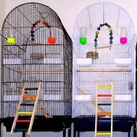 فروشگاه لوازم جانبی پرندگان|لوازم جانبی حیوانات|بیرجند, |دیوار