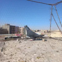 ماده زاغ کاکلی کرمانی