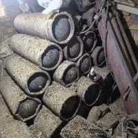 کپسول گاز و منبع|اجاق گاز و لوازم برقی پخت‌وپز|بوئین زهرا, |دیوار