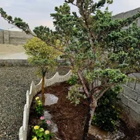 باغ و باغچه190متری دارای انشعابات/خ عریض