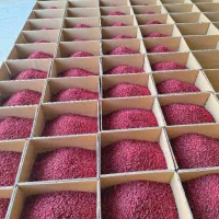 تولید و تامین عمده زرشک قاینات