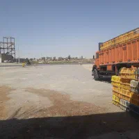 مرغ گوشتی شهرستان عمده ودانه فروشی ومراسمی|عمدهفروشی|زابل, |دیوار