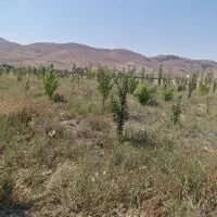 زمین ۵۰۰ متری در جاده فیروزکوه ابتدای جاده ارجمند|فروش زمین و ملک کلنگی|فیروزکوه, |دیوار