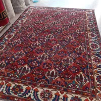 یک جفت ۶ دستباف بختیاری خشتی گوشت دار و سالم