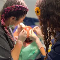 کاشت مو،ابرو،ریش،ترمیم با تخفیف