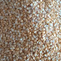 برنج و حبوبات|خوردنی و آشامیدنی|تبریز, |دیوار