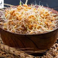 جوانه گندم و انواع آردیجات