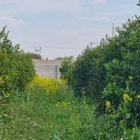 باغچه-1000-متری-خالص-شهرک-مطهری