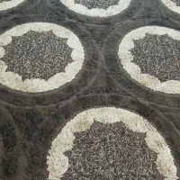 فرش فانتزی ۶ متری|فرش|تهران, شهرک ابوذر|دیوار