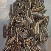 خشکبار لوکس مهتا