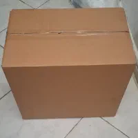کارتن