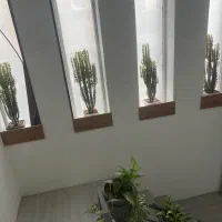 اجاره اتاق دفترکاردرعفیف آباد|اجارهٔ دفتر کار، اتاق اداری، مطب|شیراز, عفیف‌آباد|دیوار