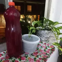رب آلوچه سنتی  آتشی و آب غوره|خوردنی و آشامیدنی|لاهیجان, بوجایه|دیوار