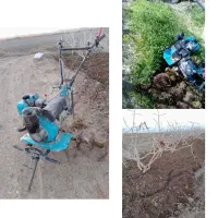 تیلر زنی باغات