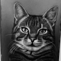 آموزش نقاشی سیاه قلم