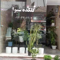 دنبال شریک کاری بامبلغ کم برای کافه گل|اجارهٔ مغازه و غرفه|هشتگرد, شهرک بعثت|دیوار