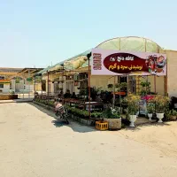استخدام شاگرد برای کافه مارکت دنج