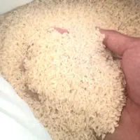 برنج عنبربو درجه یک به شرط پخت