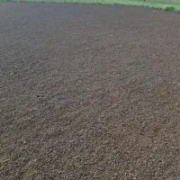 کود حیوانی گوسفند و گاو|خدمات باغبانی و درختکاری|رامهرمز, |دیوار