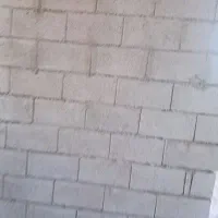 استاد بنا ماهر